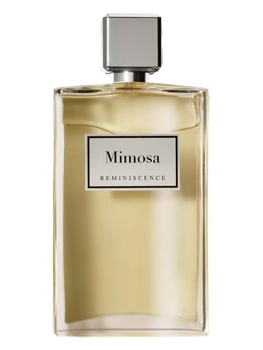 Mimosa