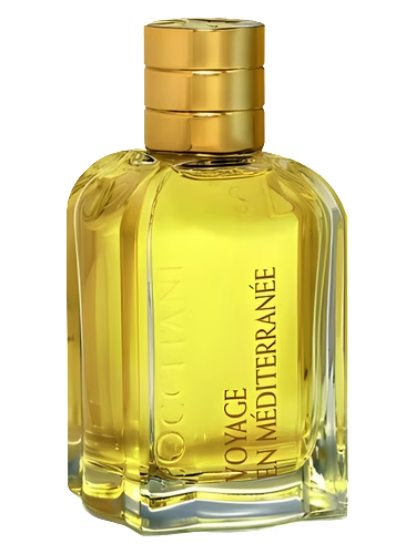 Mimosa de l'Esterel