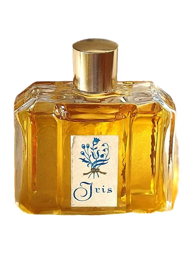 Modry Iris