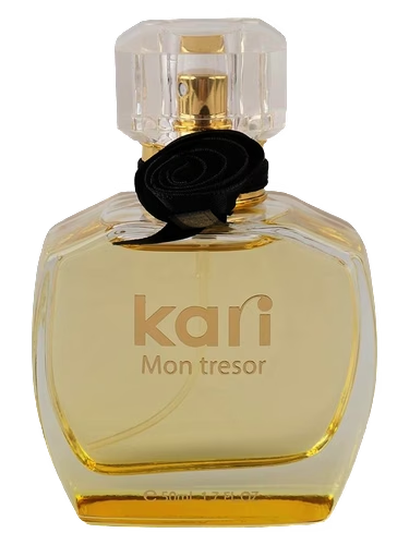 Mon Tresor by kari
