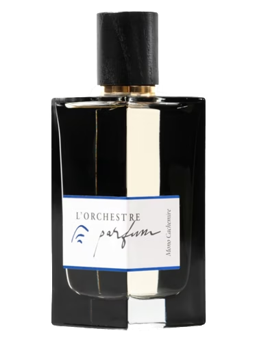 Mono Cachemire