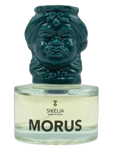 Morus
