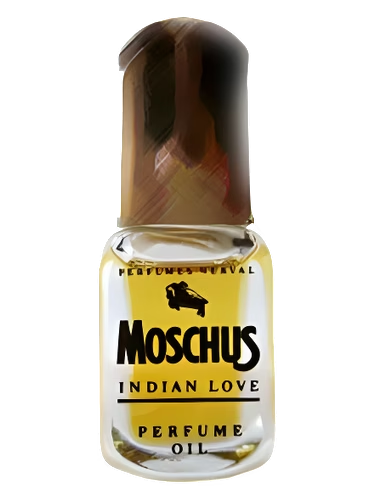 Moschus Indian Love