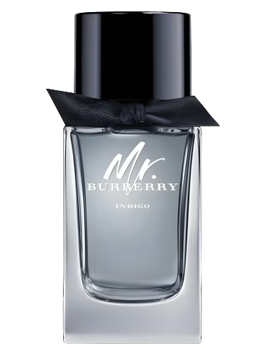 Mr. Burberry Indigo