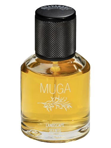 Muga