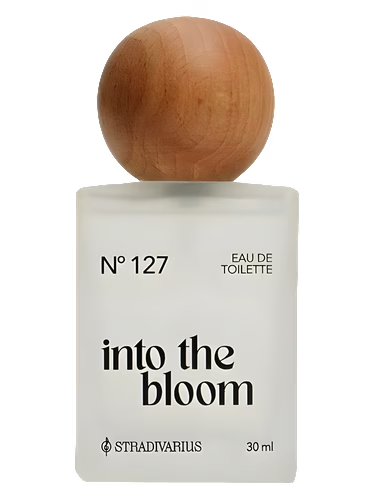 Nᵒ127 Into the Bloom