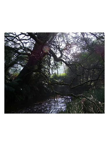 Naiad
