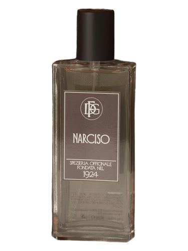 Narciso