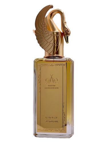 Narcisse au Miroir