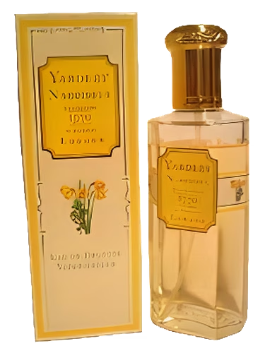 Narcissus