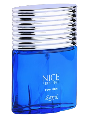 Nice Feelings