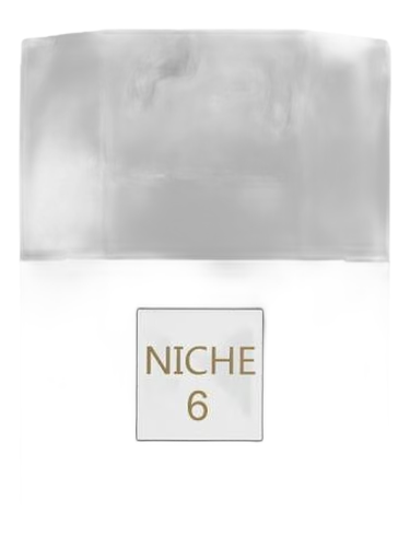 Niche 6