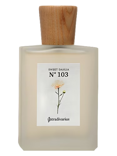 No 103 Sweet Dahlia