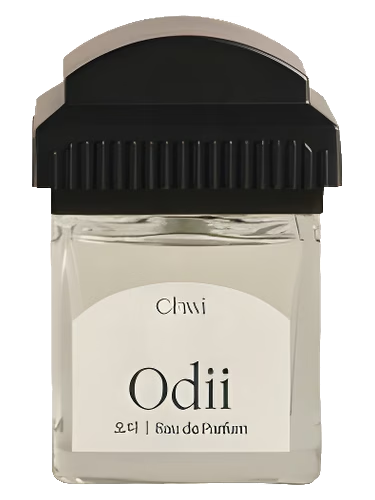 Odii 오디