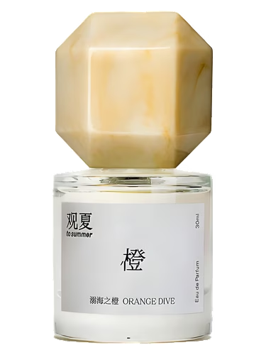 Orange Dive 溺海之橙 by To Summer | 观夏