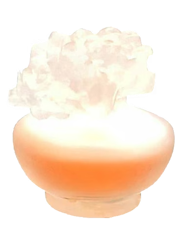 Orange Tropical
