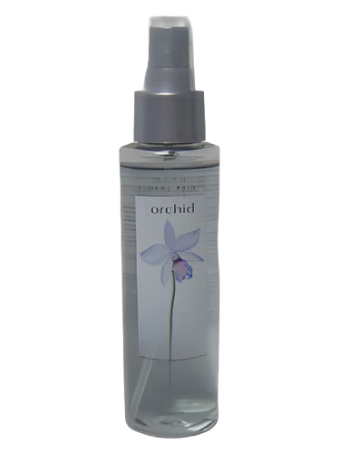 Orchid