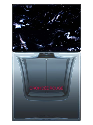 Orchidée Rouge