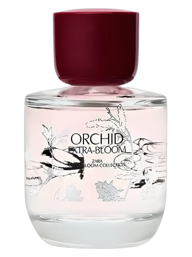 Orchid Extra-Bloom