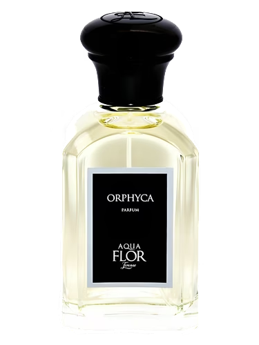 Orphyca
