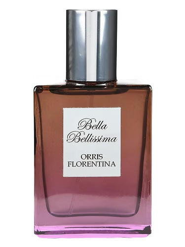 Orris Florentina