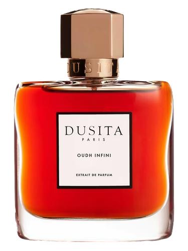 Oudh Infini