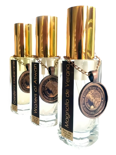 Oudh Nawab