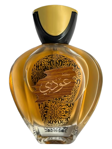 Oudi