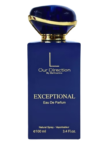 Our Direction Exceptional