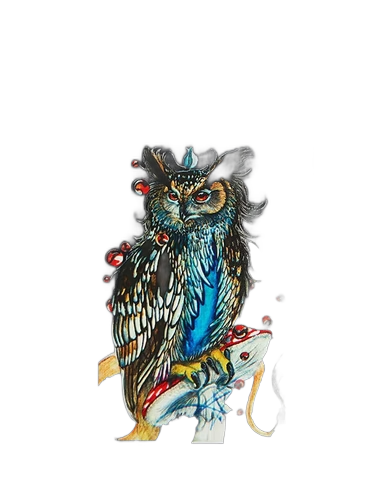 Owl Spirit