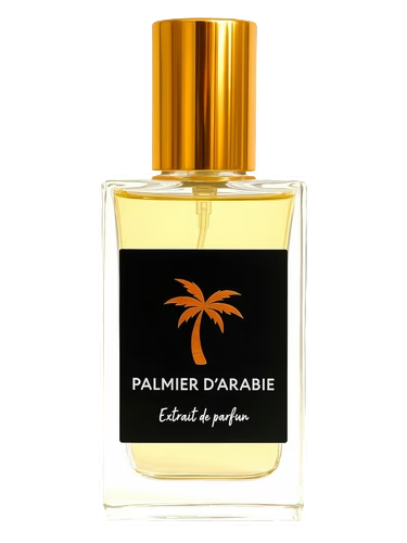 Palmier D'Arabie
