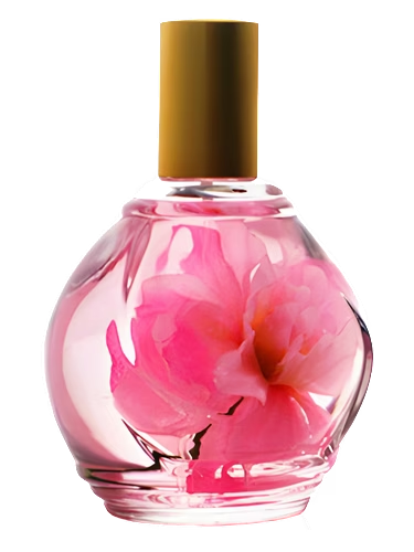 Parfum d'Ambiance Rose
