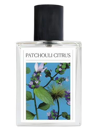 Patchouli Citrus by The 7 Virtues