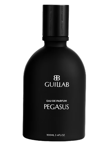 PEGASUS