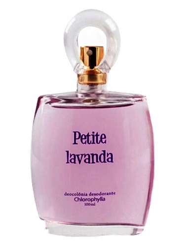 Petite Lavanda