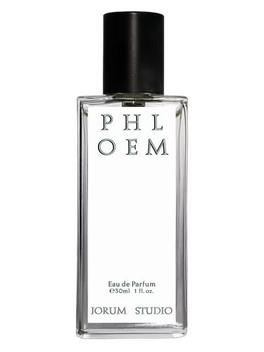 Phloem