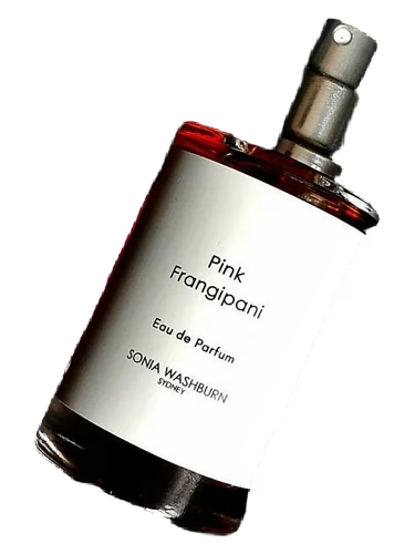 Pink Frangipani