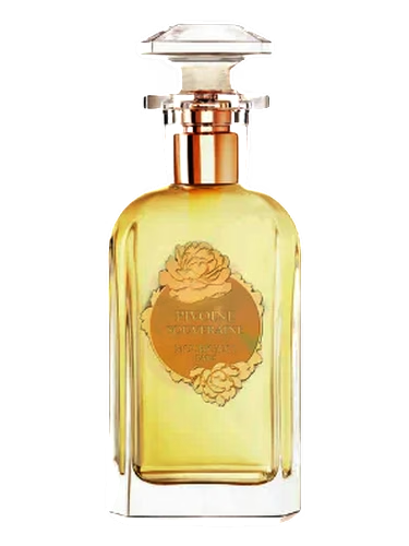 Pivoine Souveraine