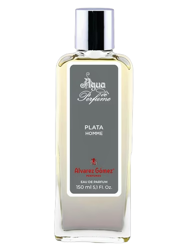 Plata Homme