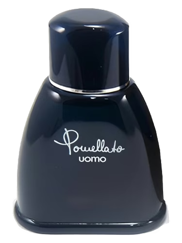 Pomellato Uomo
