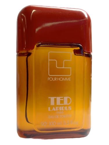 Pour Homme