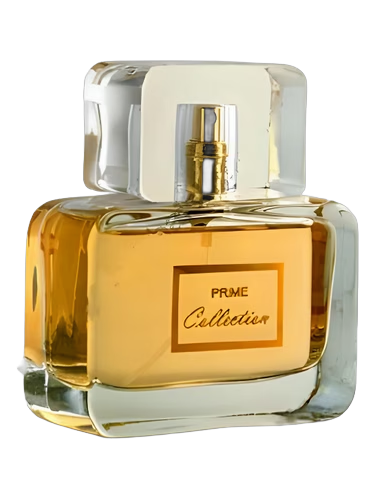 Prime Collection for Women