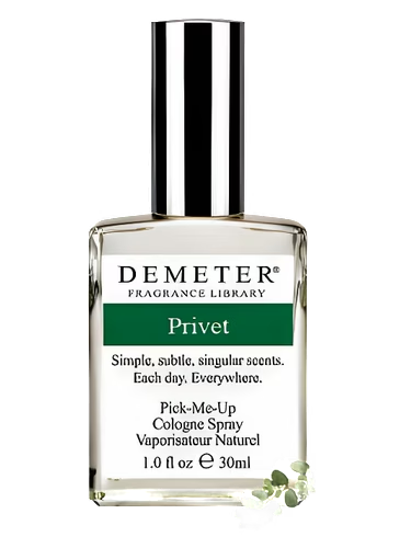 Privet