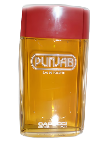 Punjab