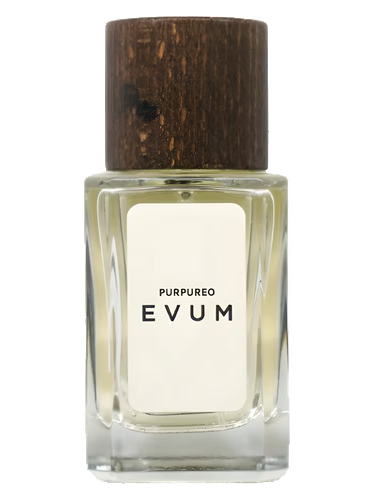 Purpureo by Evum