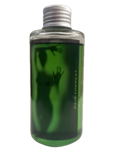 Rain Forest by TFS