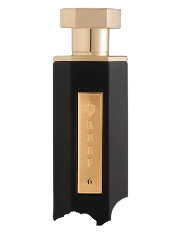 Reef 06 by Reef Perfumes