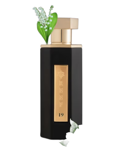 Reef 19