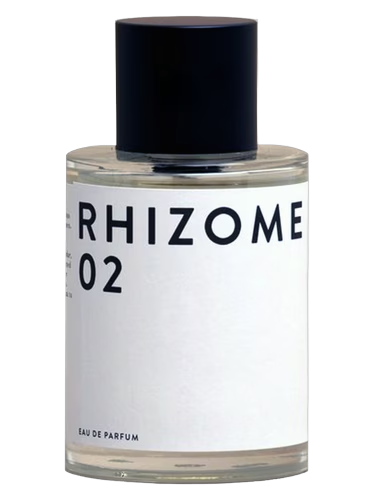 Rhizome 02