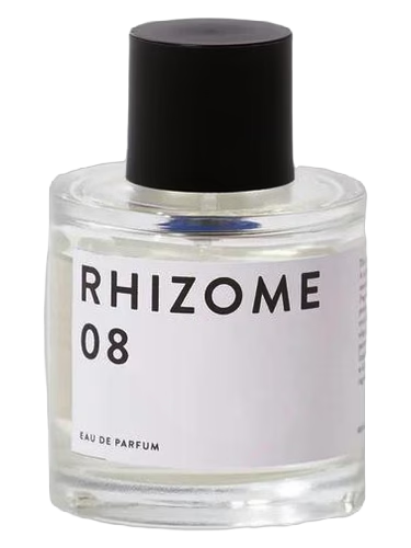 Rhizome 08